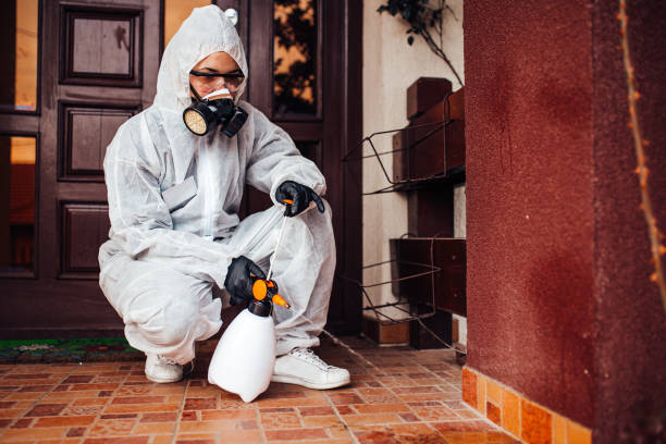 Attic and Crawl Space Rodent Treatment in Lake Don Pedro