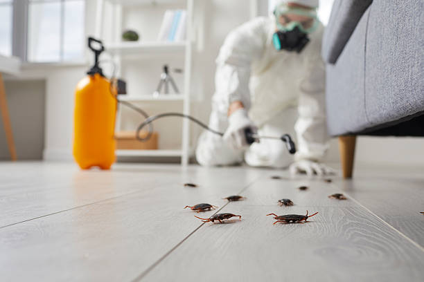 Commercial Rodent Management in Lake Don Pedro